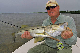 SNook on the fly