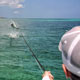 Todd Paikin wrangling with a nice tarpon on fly!