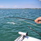 Warren Crame taking it to a tarpon with the fly rod.