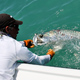 Another Tarpon release