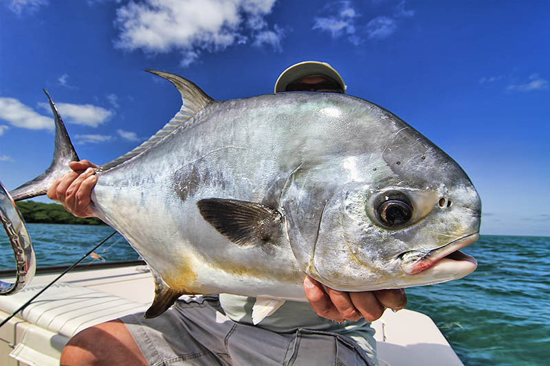 Permit fishing charters, Marathon Florida Keys