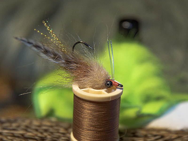 The Flats Shrimp - Florida Keys fly selection