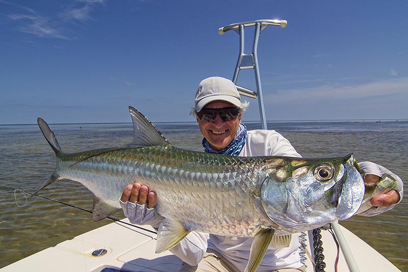 Florida Keys Tarpon Fishing charters