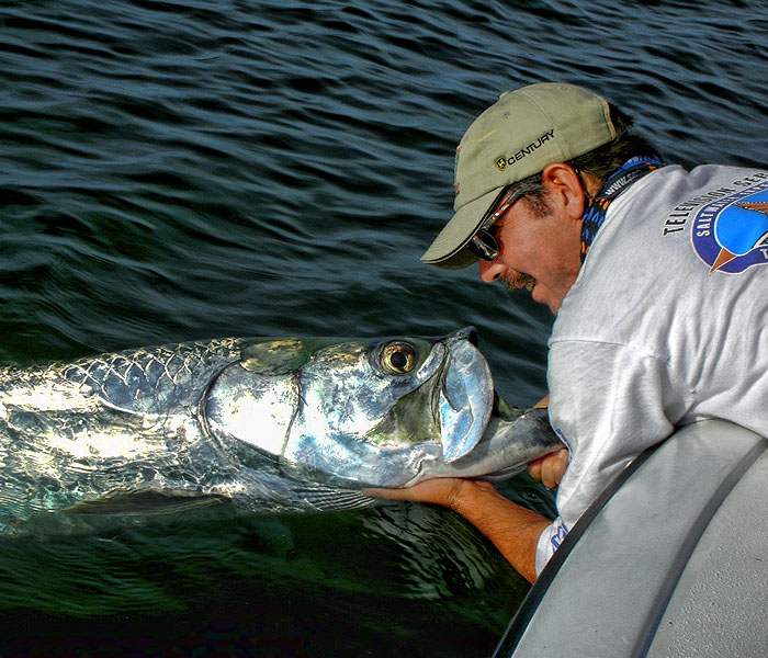 Florida Keys Tarpon Fishing