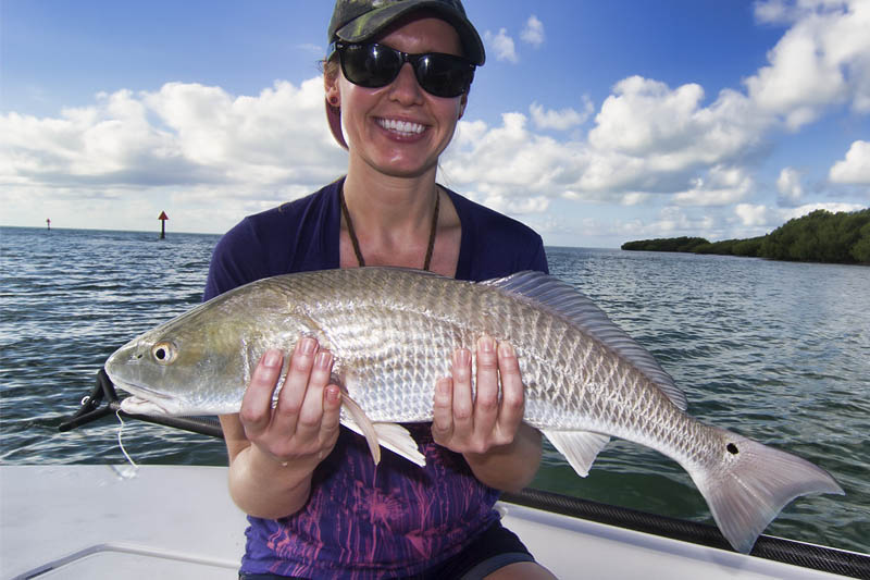 Redfish charters in the florida keys