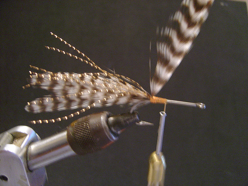 deer hair shrimp fly for bonefish